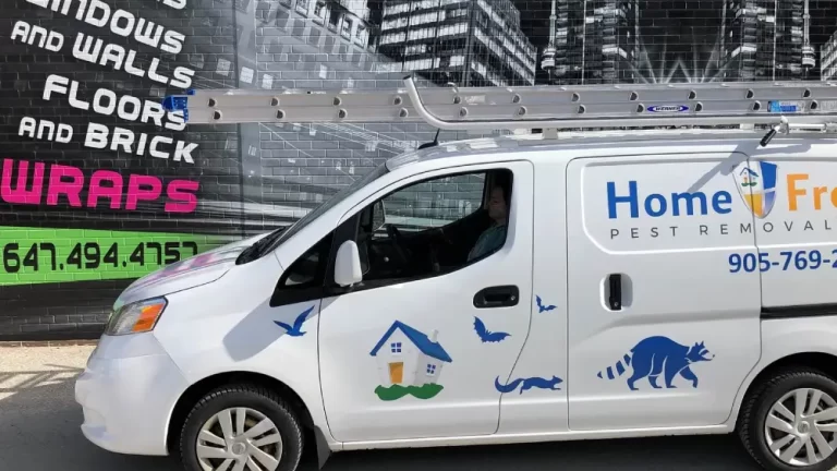 Vinyl Wrap Toronto Nissan NV200 2018 Avery Dennison White Van Decal Home Free Pest Removal - Van Decals Cost