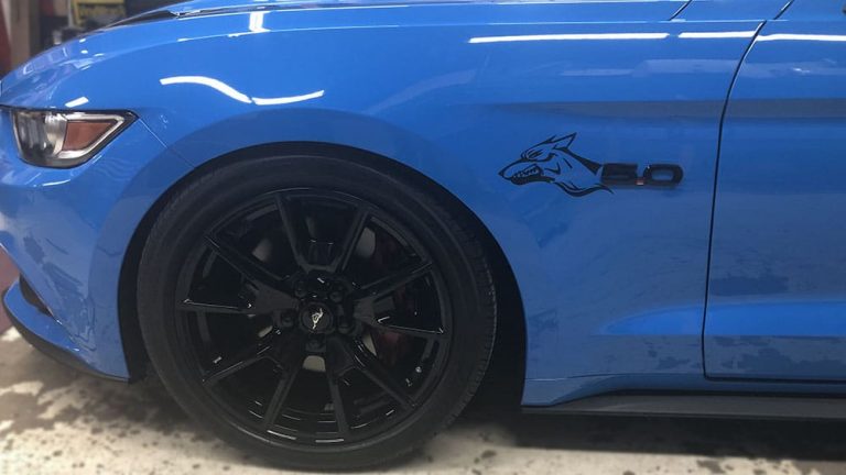 Ford - Mustang - Coyote - 2020 - Car Lettering & Decals - Personal - Stickers - Vinyl Wrap Toronto - Custom Vinyl Wraps Cost