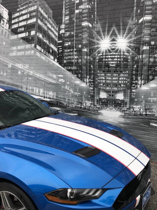 Premium Quality Racing Stripes in GTA | Avery Dennison & 3M